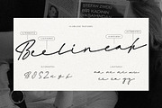 Flawlush - Elegant Script, a Script Font by Invasi Studio (Thumbnail 12 of 12)