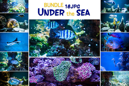 Under the sea BUNDLE