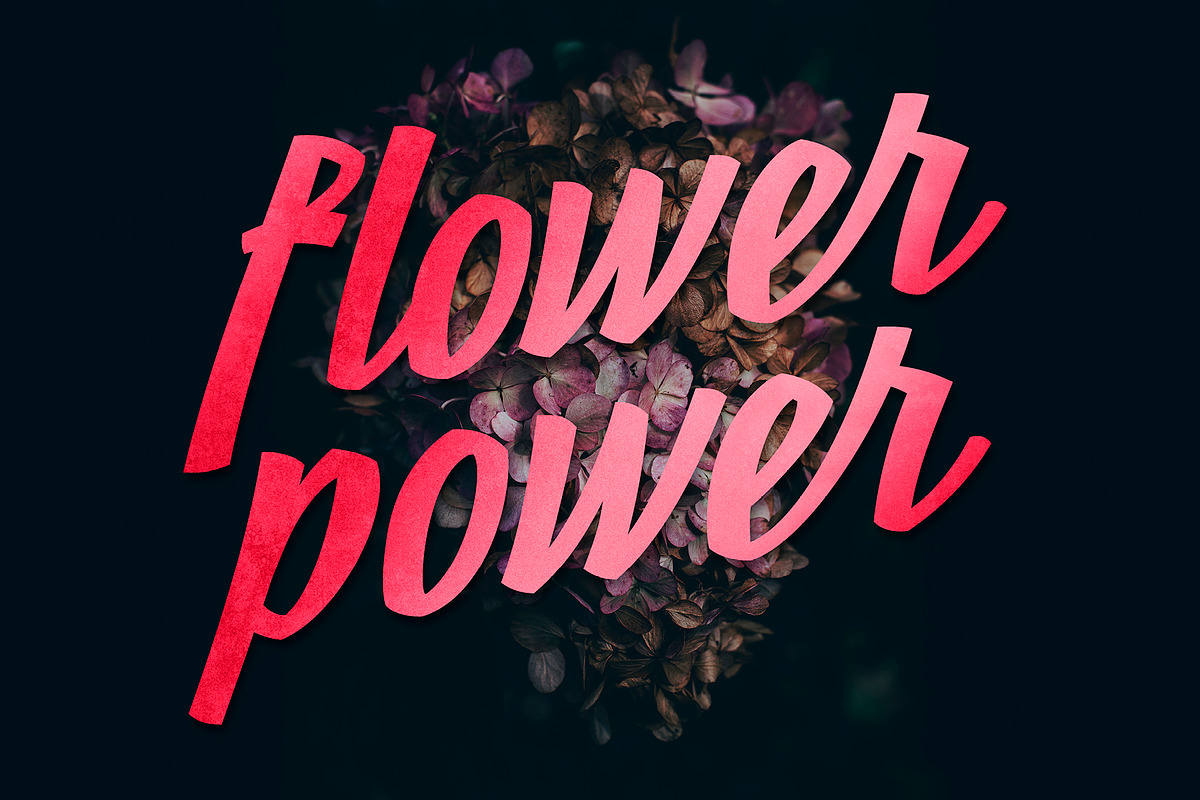 Poppy JT preview 6