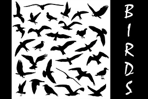 Set Of Birds Silhouettes 30 In 1