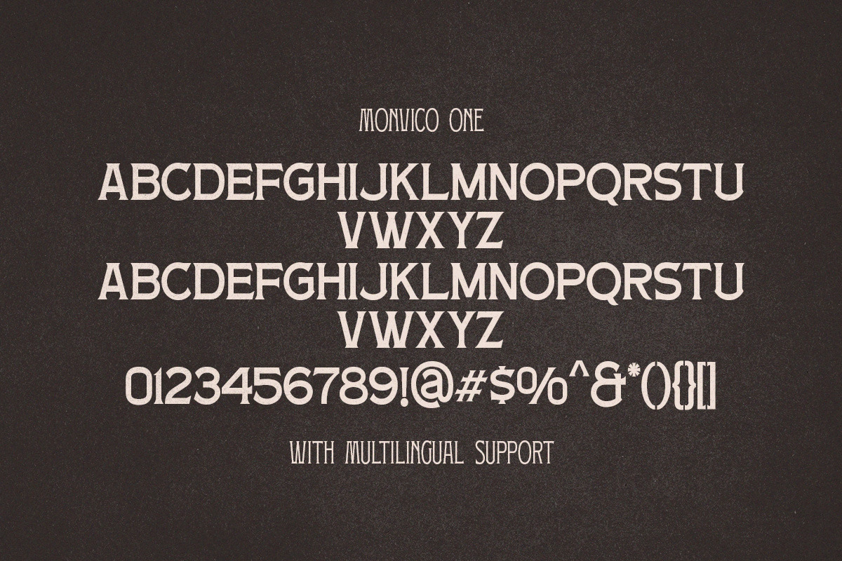Monvico - Label Display Font, a Serif Font by Letterhend Studio (Photo 8 of 10)