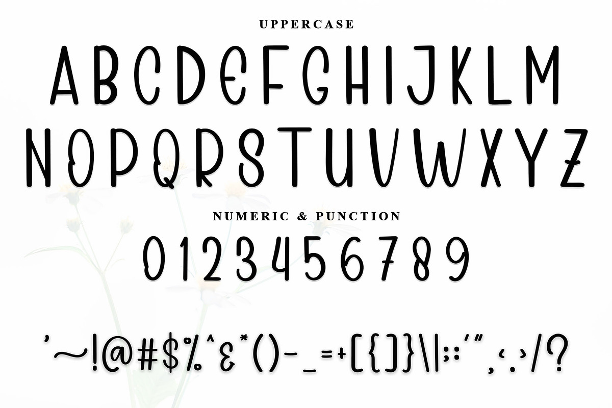 BREAKFAST, a Serif Font by InermediaSTUDIO (Photo 5 of 6)