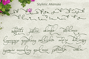 Ravishing Solidago Font, a Handwritten Font by Letterhanna Studio (Thumbnail 20 of 21)
