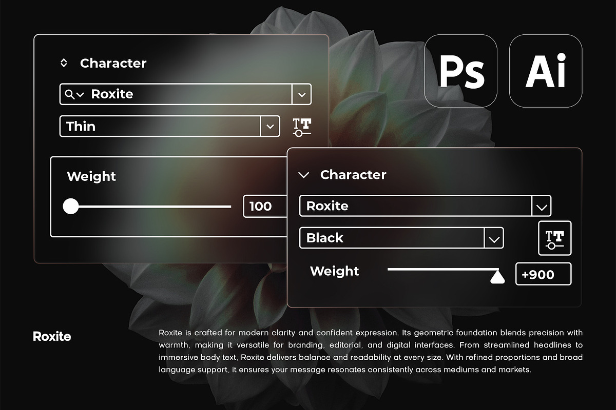 Roxite, a Serif Font by din-studio.com (Photo 10 of 16)