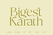 Bigest Karath Thin Serif Display, a Serif Font by timelesstype.co (Thumbnail 1 of 20)