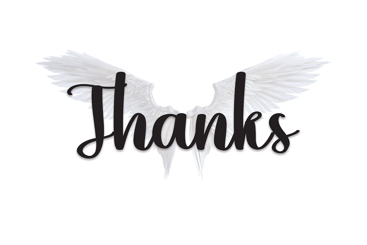 Angeline | Script Font, a Script Font by Scratchones (Photo 3 of 8)