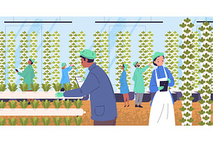 Vertical farm workers. Aeroponic, a Food Illustration by Stock-Smart-Start