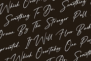 Alrengths, a Script Font by Integritype Studio (Thumbnail 7 of 15)