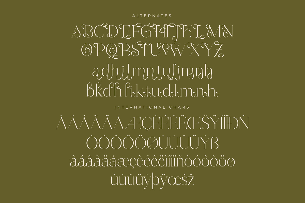Mosbian Modern Serif Font, a Serif Font by Letterena Studios (Photo 14 of 15)