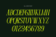 Ecofrey Serif Typeface, a Serif Font by Foxtype (Thumbnail 5 of 7)