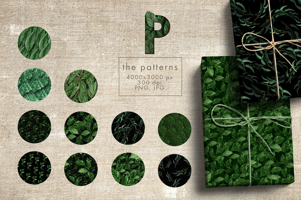UPDATE - Abundant Greenery, an Object Graphic by Jeanina Vlad (Photo 5 of 9)