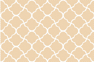 Flower geometric pattern. Seamless, a Pattern Graphic by RODINA