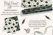 Black Parrot Tulip flower Vector, a Seasonal Illustration by Universe Mary (Thumbnail 2 of 7)