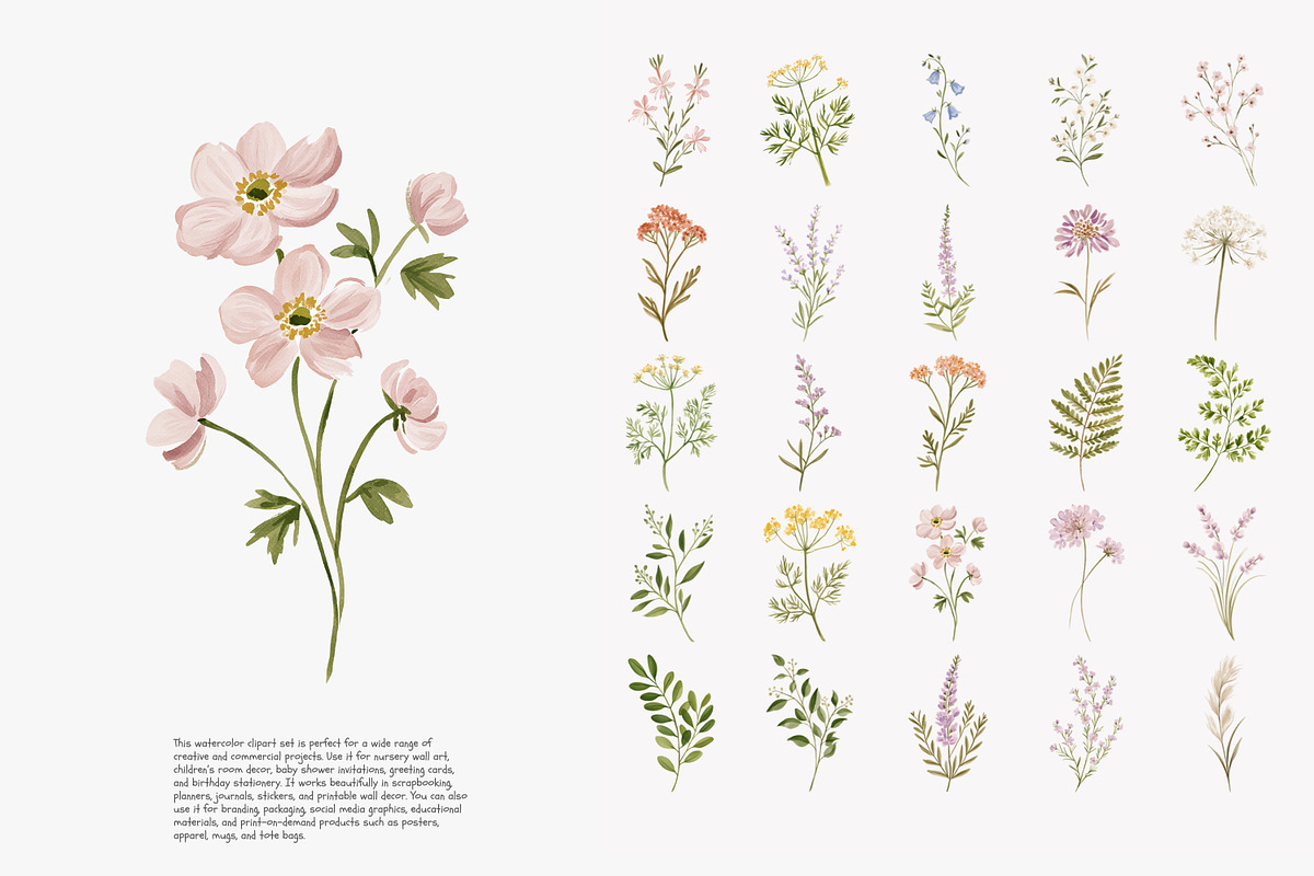 a wildflower meadow clipart set, a Decorative Illustration by Patishop Art (Photo 8 of 12)