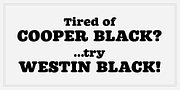 Westin, a Slab Serif Font by Miller Type Foundry (Thumbnail 3 of 4)