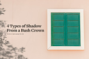 Plant Shadow Backdrops Video Bundle, a Mockup by rebrandy (Thumbnail 6 of 24)