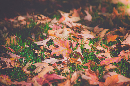 Autumn Days Stock Photograph preview 6