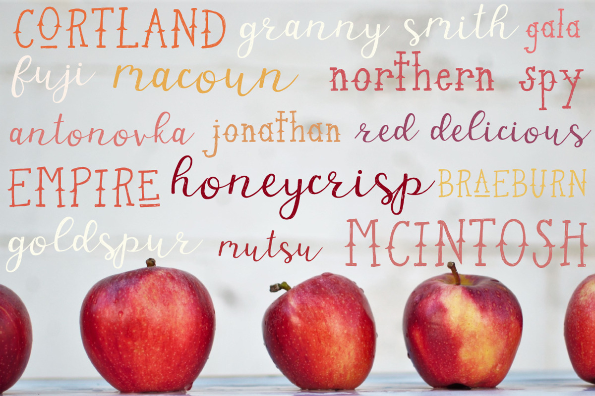 Dusky Pines Font Duo + Illustrations preview 2