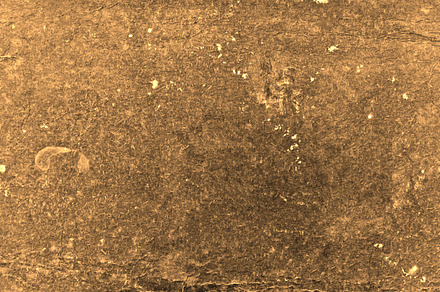 Pancake texture containing texture, background, and macro preview 6