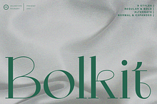 ZT Bolkit - Display Serif