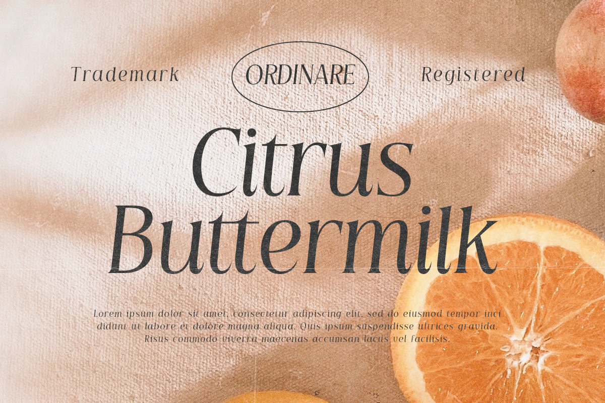 Mindstay - Elegant Vintage Serif, a Serif Font by Letterhend Studio (Photo 2 of 9)