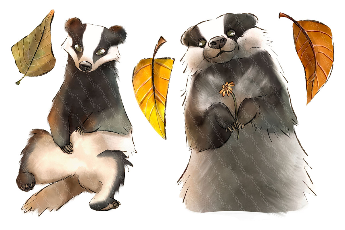Badger Clipart PNG - Magic Forest, an Animal Illustration by Lenninator Digital (Photo 3 of 8)