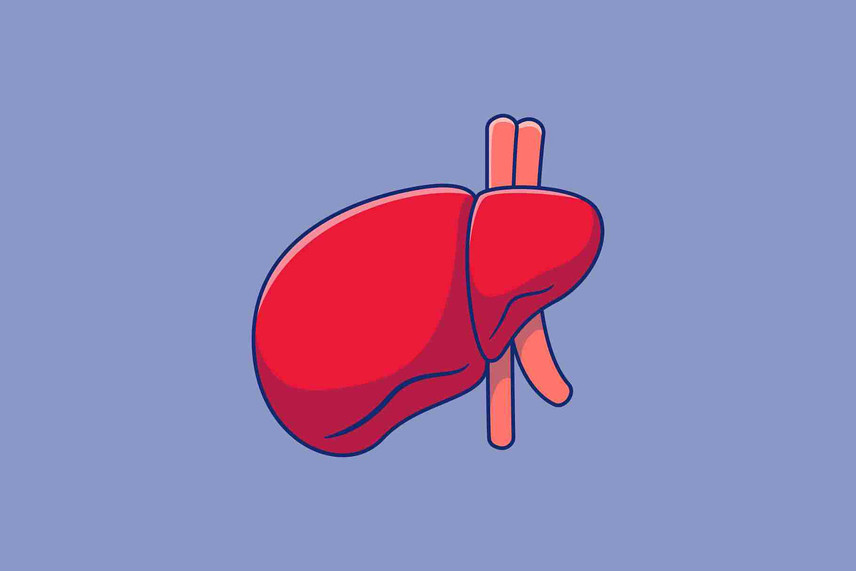 Liver Cartoon Vector Icons, a Person Illustration by Artstorystudio (Photo 2 of 3)