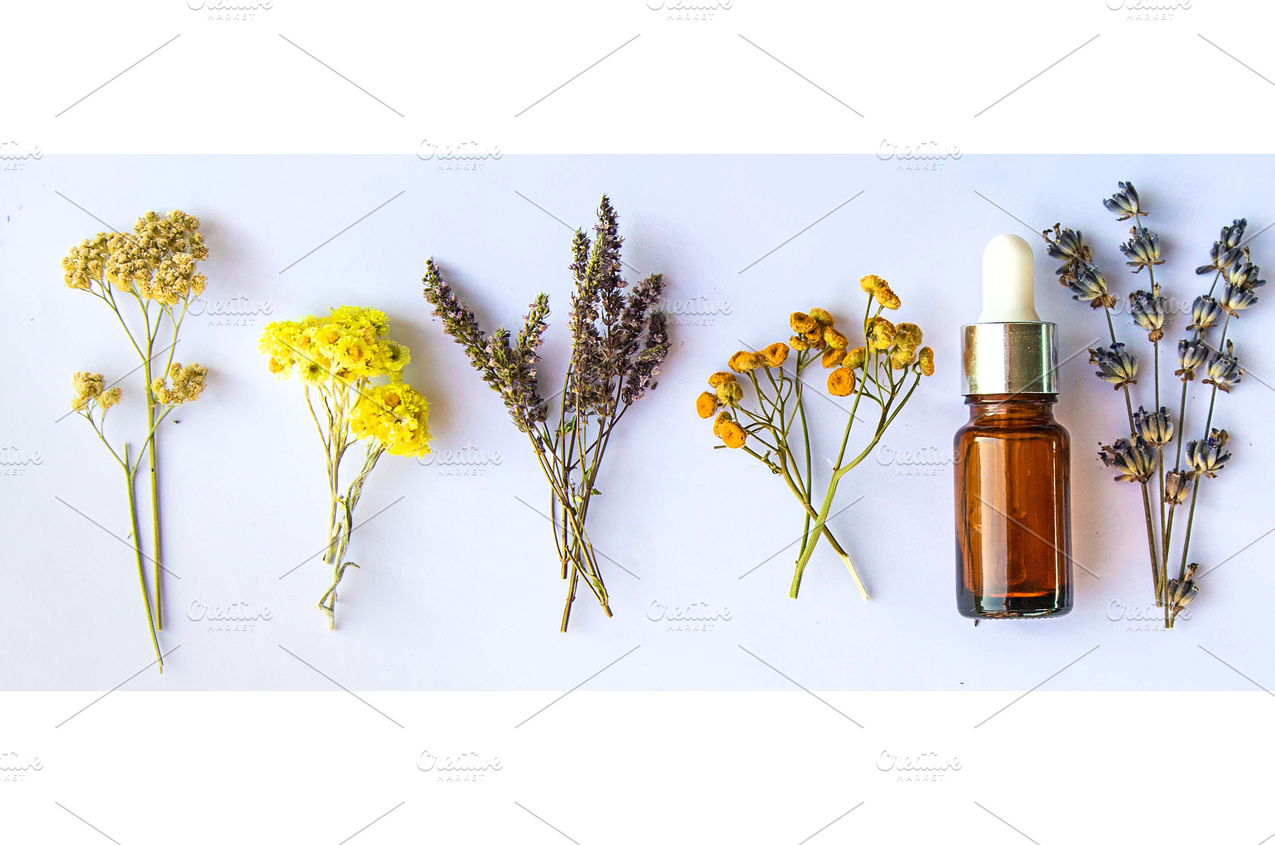 Medicinal herbal extract in a bottle, a Nature Photo by yanadjana