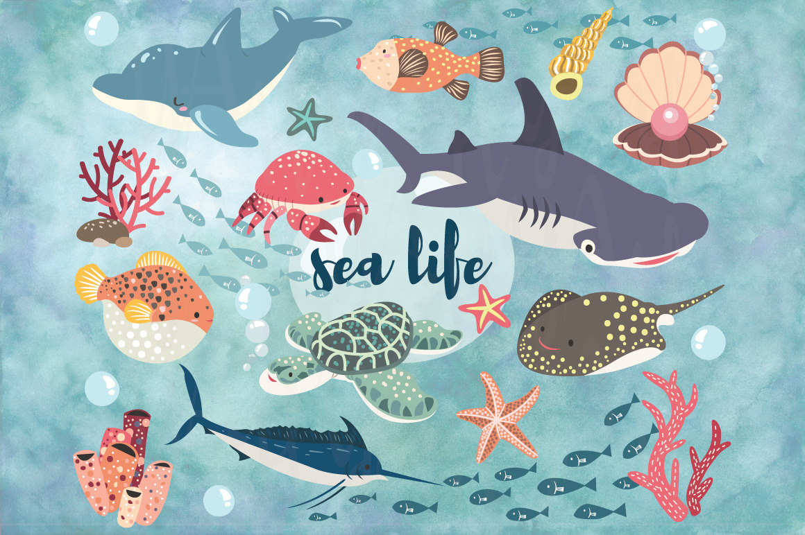 Cute Ocean Sea life Set | Animal Illustrations ~ Creative Market