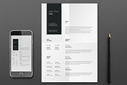 Peter Resume Template, a Resume Template by Nina Shaw (Thumbnail 1 of 11)