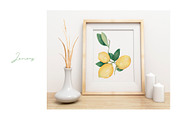 Watercolor Citrus Fruit Lemon, a Food Illustration by MayaNavits (Thumbnail 10 of 11)