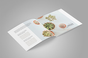 Square Magazine Template