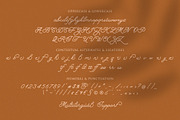 Hearty Morning - New Monoline Script, a Script Font by Ef Studio (Thumbnail 8 of 8)