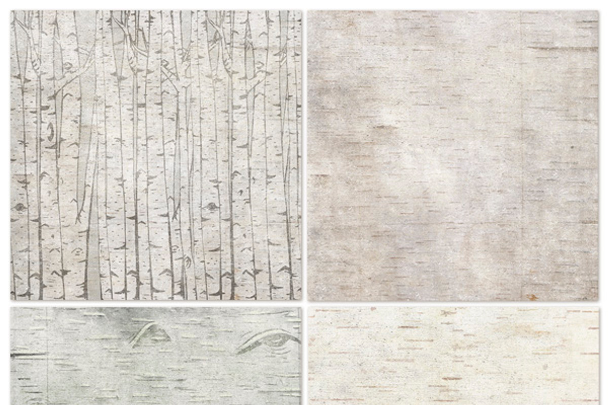 Birch Wood Background Images preview 6