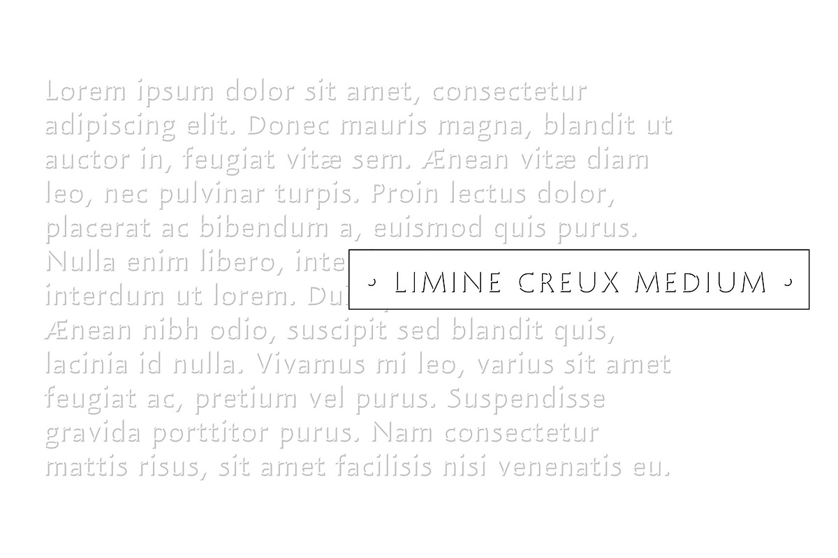Limine, a Font by TeGeType foundry (Photo 4 of 5)