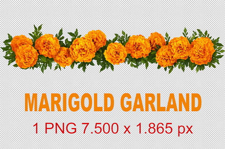 PNG Marigold flowers garland