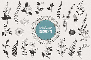 Floral Decorative Elements 