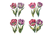Watercolor Flowers in Spring, a Decorative Illustration by ForhadGFX (Thumbnail 15 of 15)