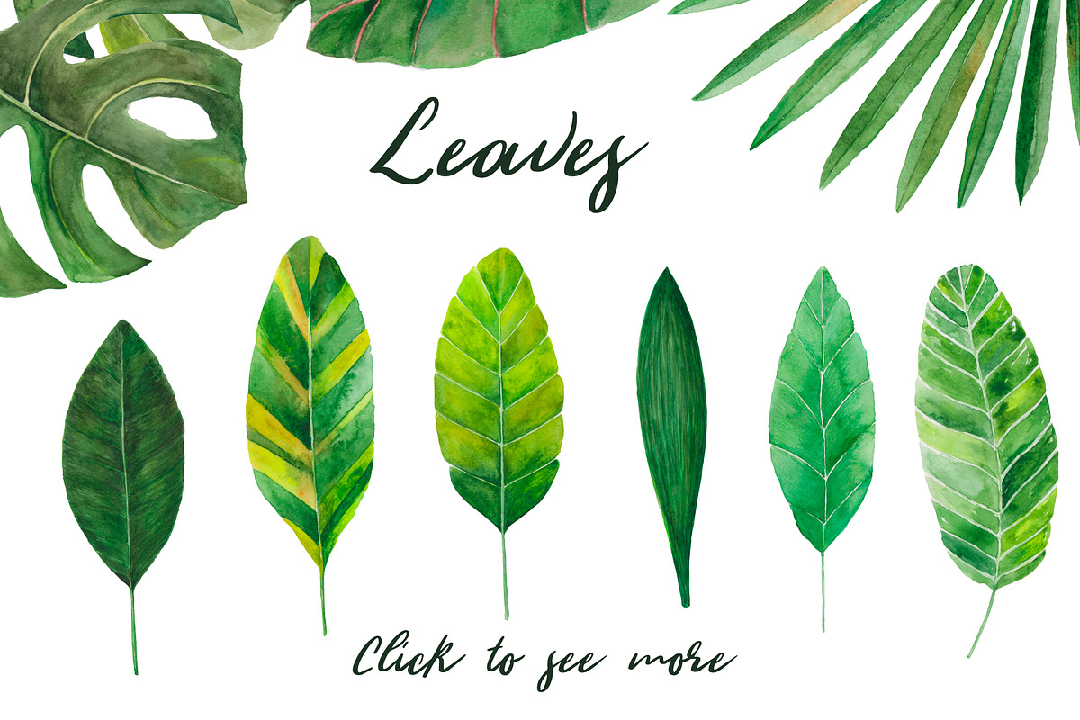 Amazonia. Tropical leaves, a Decorative Illustration by SaharaArt (Photo 2 of 8)