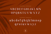 Bilderberg Beauty Serif Font, a Serif Font by peterdraw (Thumbnail 8 of 10)