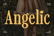CS Miguela – Classic Font, a Serif Font by Craft Supply Co. (Thumbnail 5 of 8)