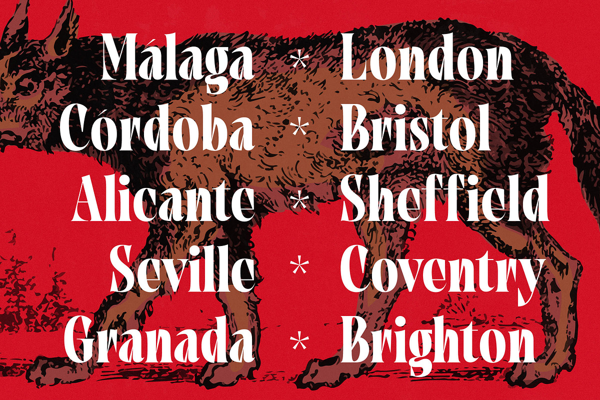 Tieldsa Bold Serif Display Font, a Serif Font by timelesstype.co (Photo 13 of 20)