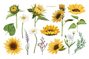 Watercolor Sunflower PNG Clipart, an Object Graphic by ArtGiftsStudio (Thumbnail 2 of 6)