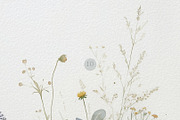 Wildflowers & Greenery Backgrounds, a Background Graphic by Anna Sokol (Thumbnail 11 of 12)
