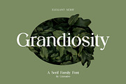 Grandiosity Elegant Serif Font, a Serif Font by UICreative (Thumbnail 1 of 13)