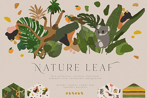 Nature Leaf Collection