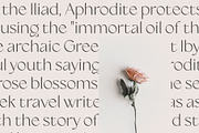 Siena Typeface, a Sans Serif Font by Ivan Rosenberg (Thumbnail 9 of 16)