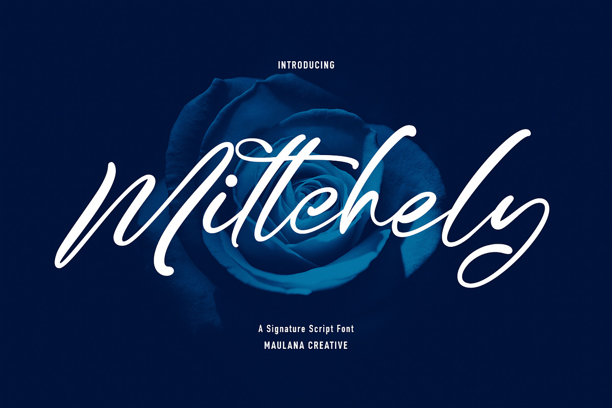 Mittchely Signature Script Font, a Script Font by Maulana Creative (Photo 1 of 8)