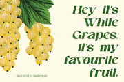 Raginy Blur, a Serif Font by Craft Supply Co. (Thumbnail 2 of 8)