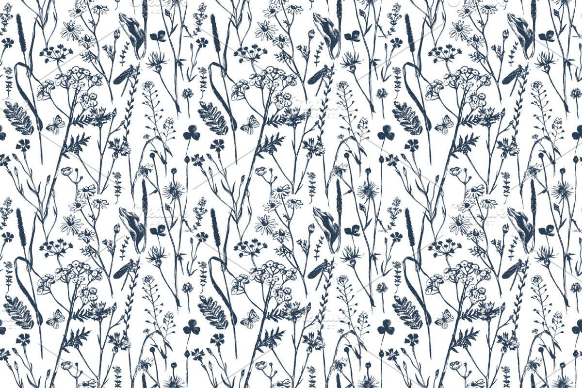 Meadow herbs and flowers, a Decorative Illustration by handsketched (Photo 7 of 7)